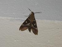 Kenya 141